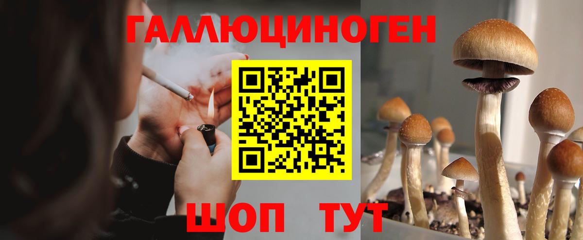 Псилоцибиновые грибы мицелий Верхняя Пышма
